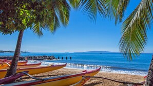 A beach with canoes lined up and palm trees.