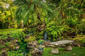 A garden with a pond, rocks, ferns, and a stone bench. - Spacious design with stunning wood floors (Kihei)