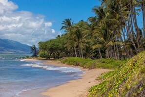 Plage à proximité