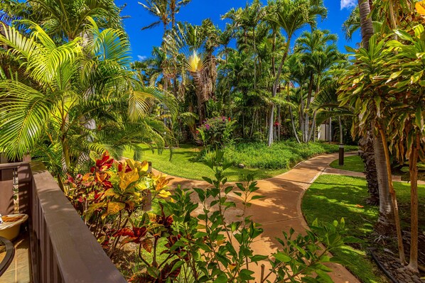 A tropical garden with a curved pathway, palm trees, and various plants.