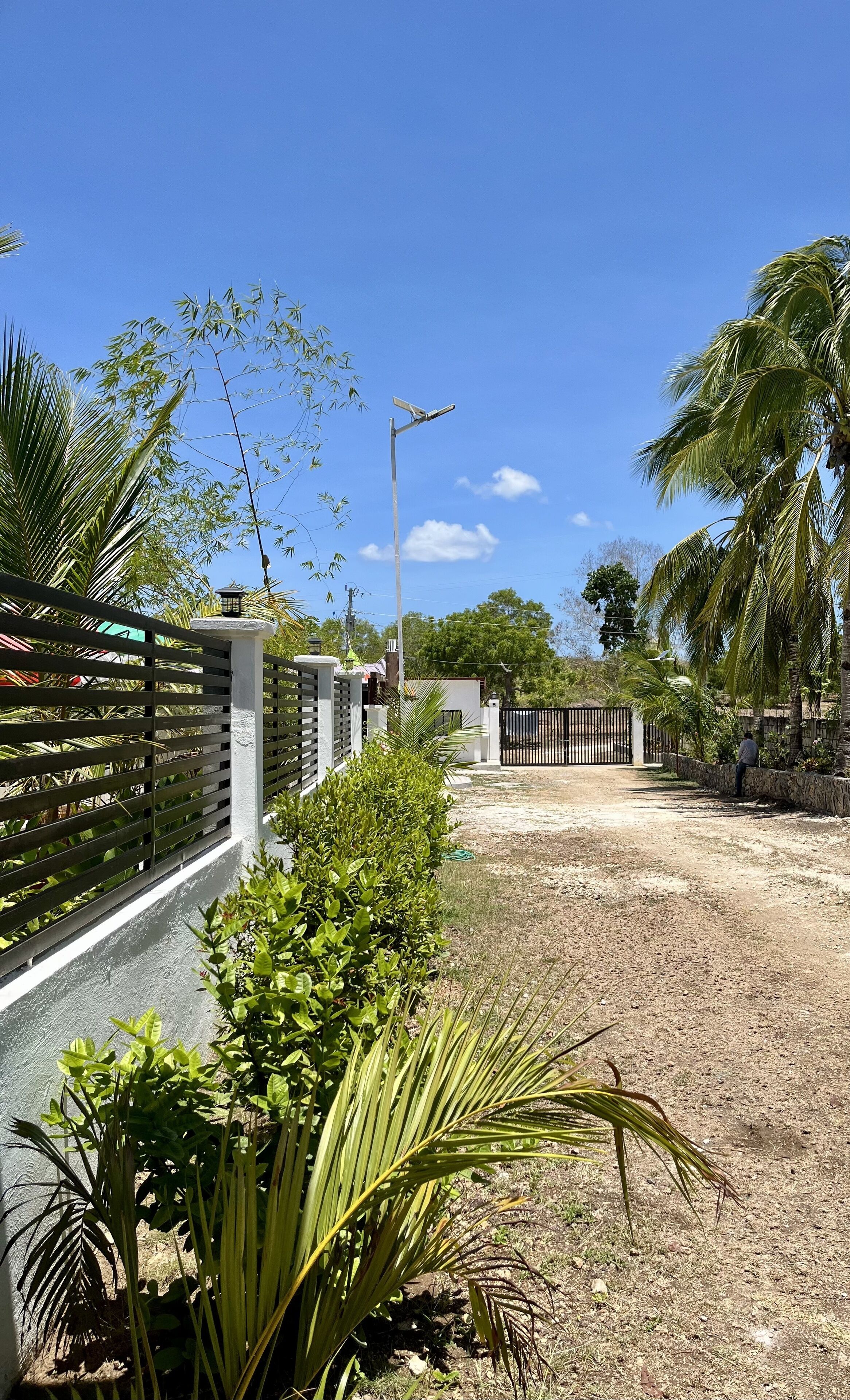 A gated property with a paved driveway, palm trees, and a street lamp.