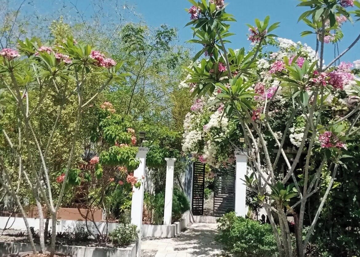 A pathway leading to a gated entrance surrounded by flowering trees and shrubs.