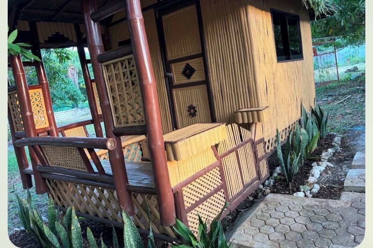 Basic Single Room, Patio, Mountain View | Terrace/patio