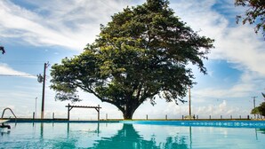 Una piscina con un gran árbol en el centro.