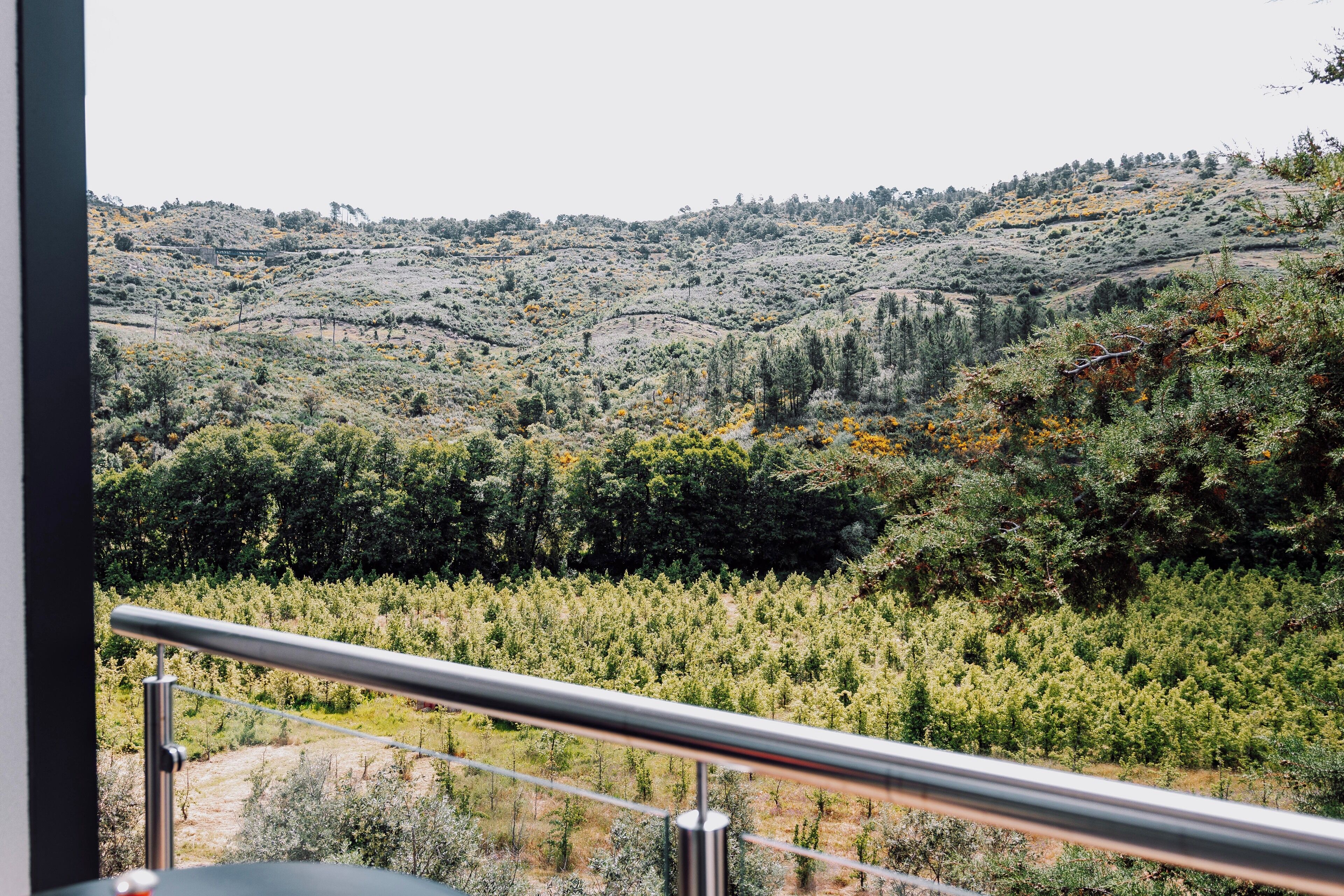 Habitación Deluxe | Vista desde la habitación