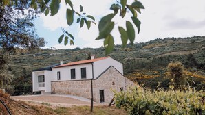 Una casa moderna con fachada de piedra y techo rojo, rodeada por un viñedo y un terreno montañoso.