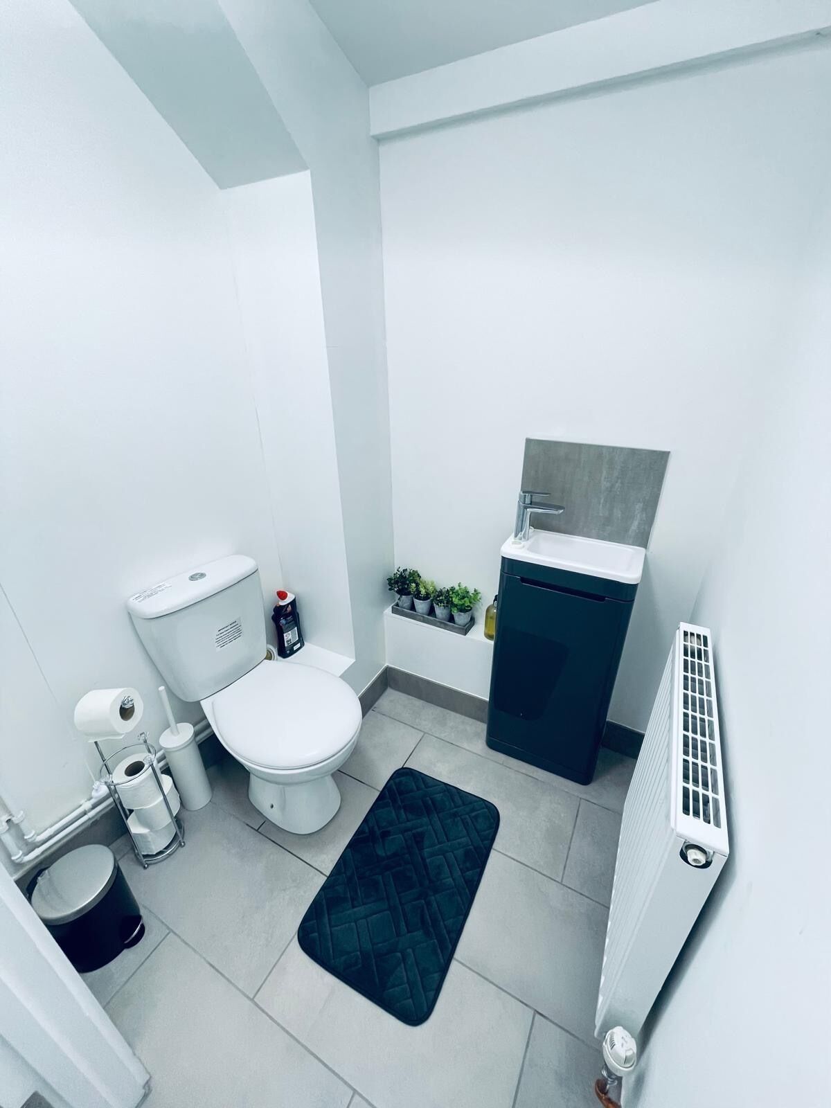 Une salle de bain moderne équipée de toilettes, d’un lavabo, d’un radiateur et d’une petite étagère avec des plantes.
