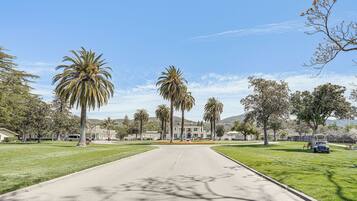 Apartment (0 Bedroom) | Interior