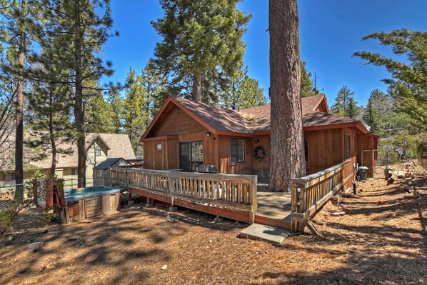 A wooden cabin with a deck, surrounded by pine trees.