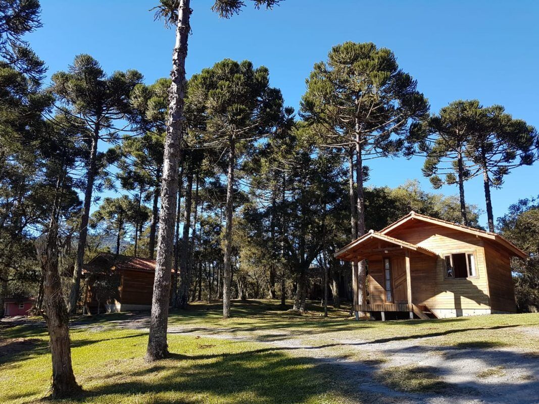 Standard Cabin, Garden View | 1 bedroom, soundproofing, free WiFi, bed sheets