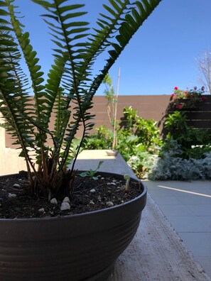 公寓 | 2 間睡房