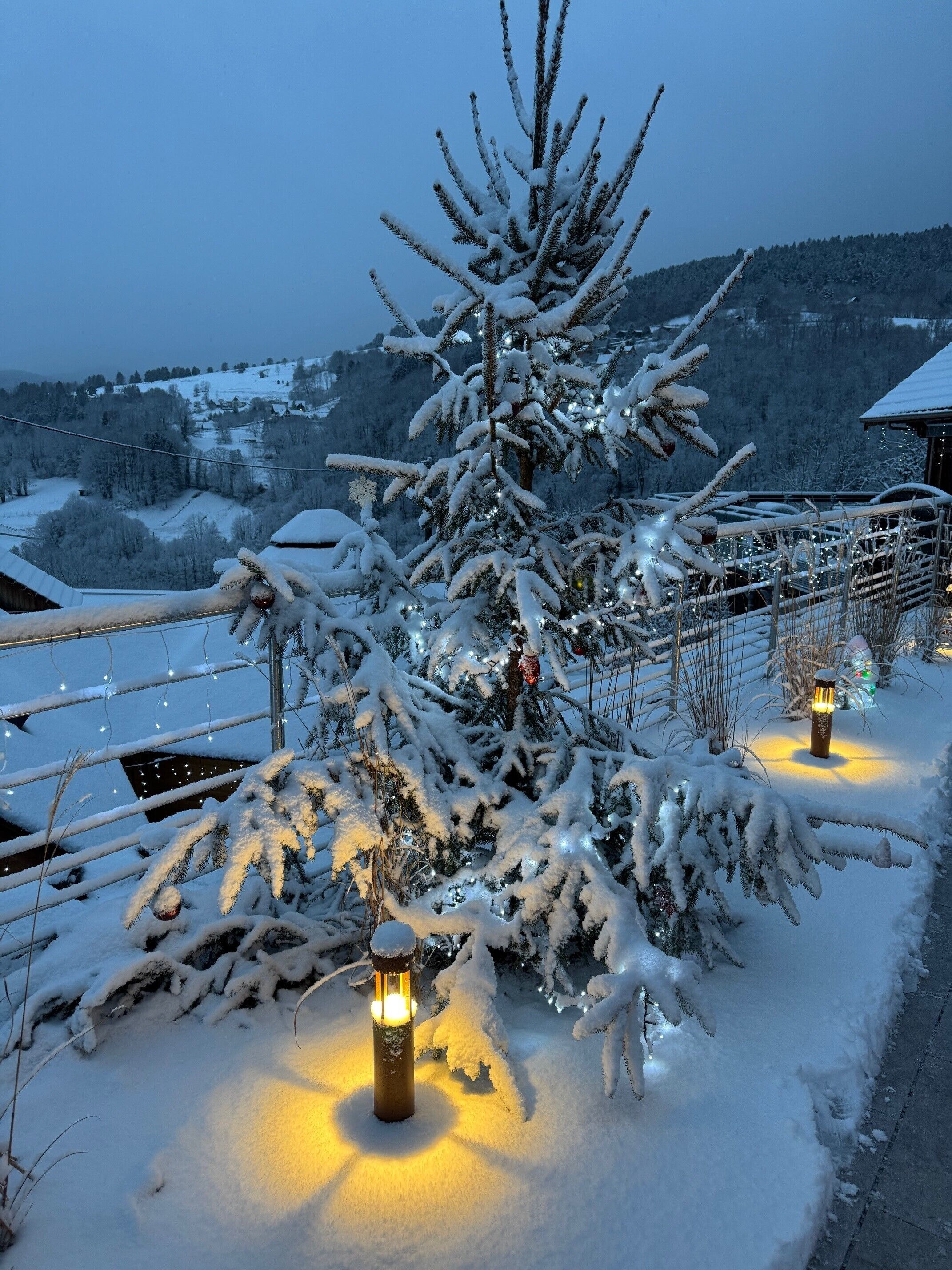 Àrea exterior de l'allotjament