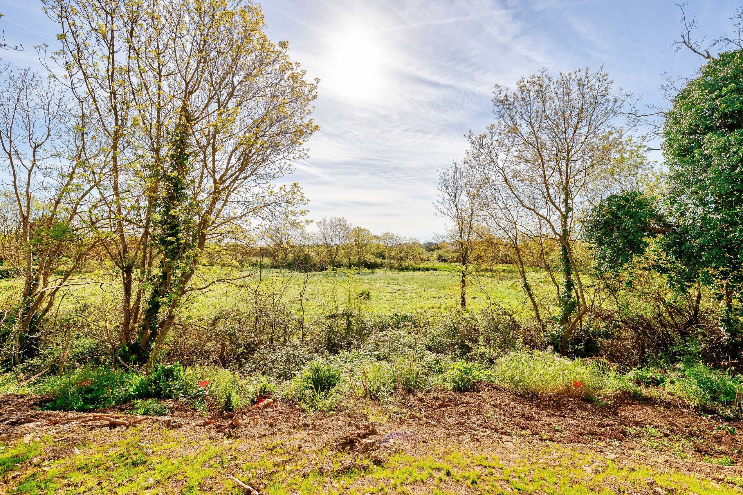 A rural landscape with trees, a field, and a clear sky.