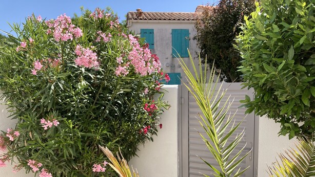 Un jardin où l’on trouve une grande variété de plantes, ainsi qu’un mur blanc surmonté d’un portail gris.