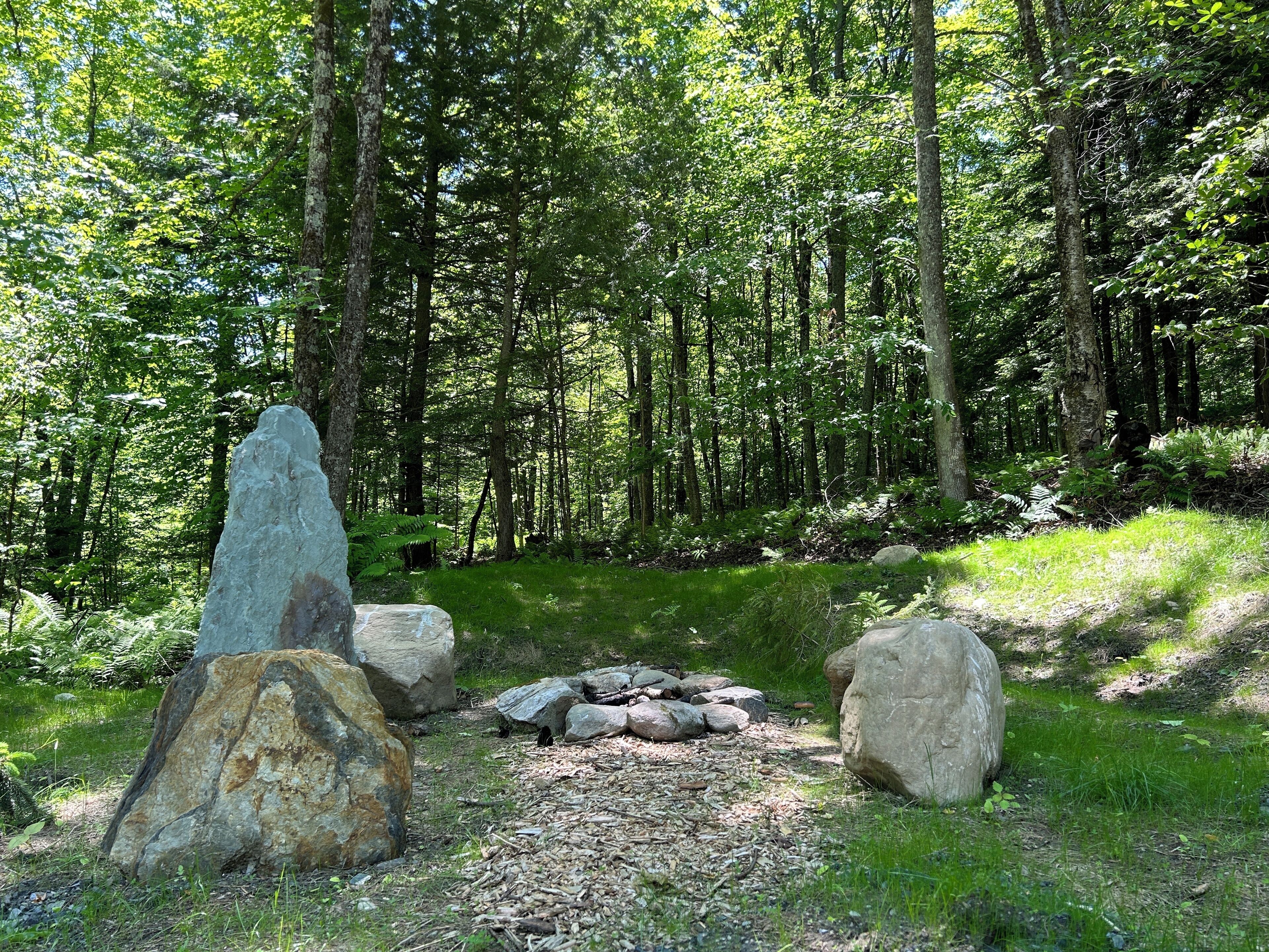 A forested area with a stone path, large boulders, and dense trees.