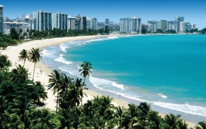 A coastal cityscape with a beach, palm trees, and high-rise buildings.