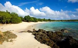 Camastros y toallas de playa