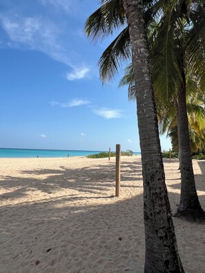 Camastros y toallas de playa