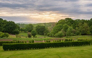 A lush green landscape with a well-maintained hedge in the foreground and a variety of trees in the background.