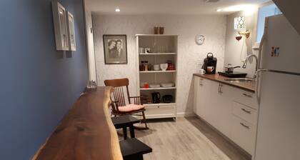 New stylish apartment in century home 5 minutes to everything Downtown Kitchener