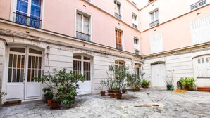 Une cour dallée de pierres, agrémentée de plantes en pot, et un bâtiment aux portes et fenêtres blanches.