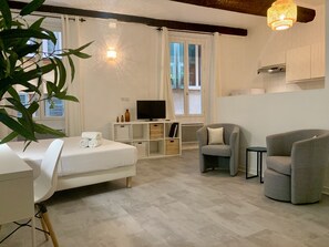 Iron/ironing board, free WiFi, bed sheets - Cocon de Gilly (Niza)