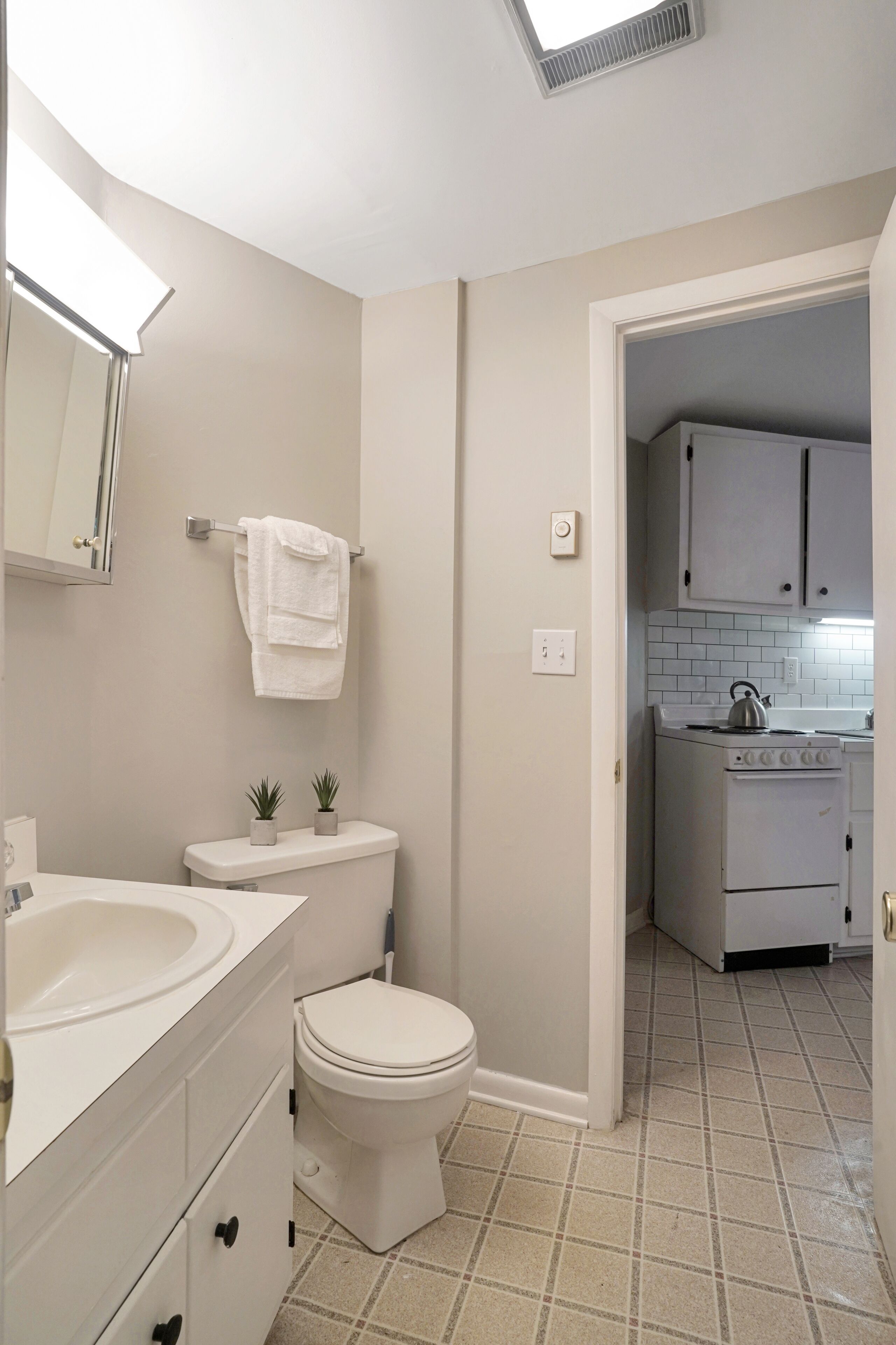 Secador de cabelo, toalhas de banho, sabonete, shampoo