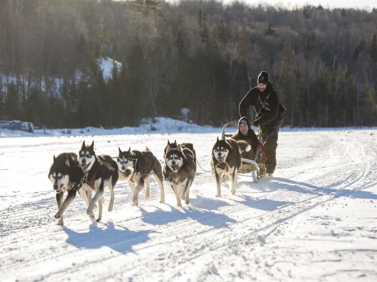 Henkilö, joka johtaa reessä vetävien koirien valjakkoa lumisella reitillä.