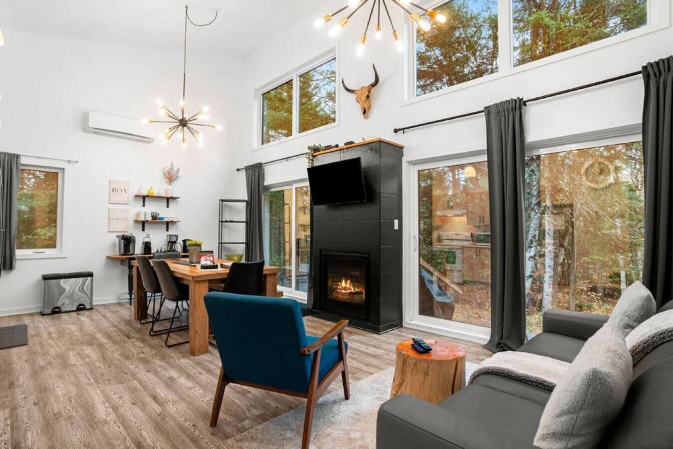 TV, fireplace