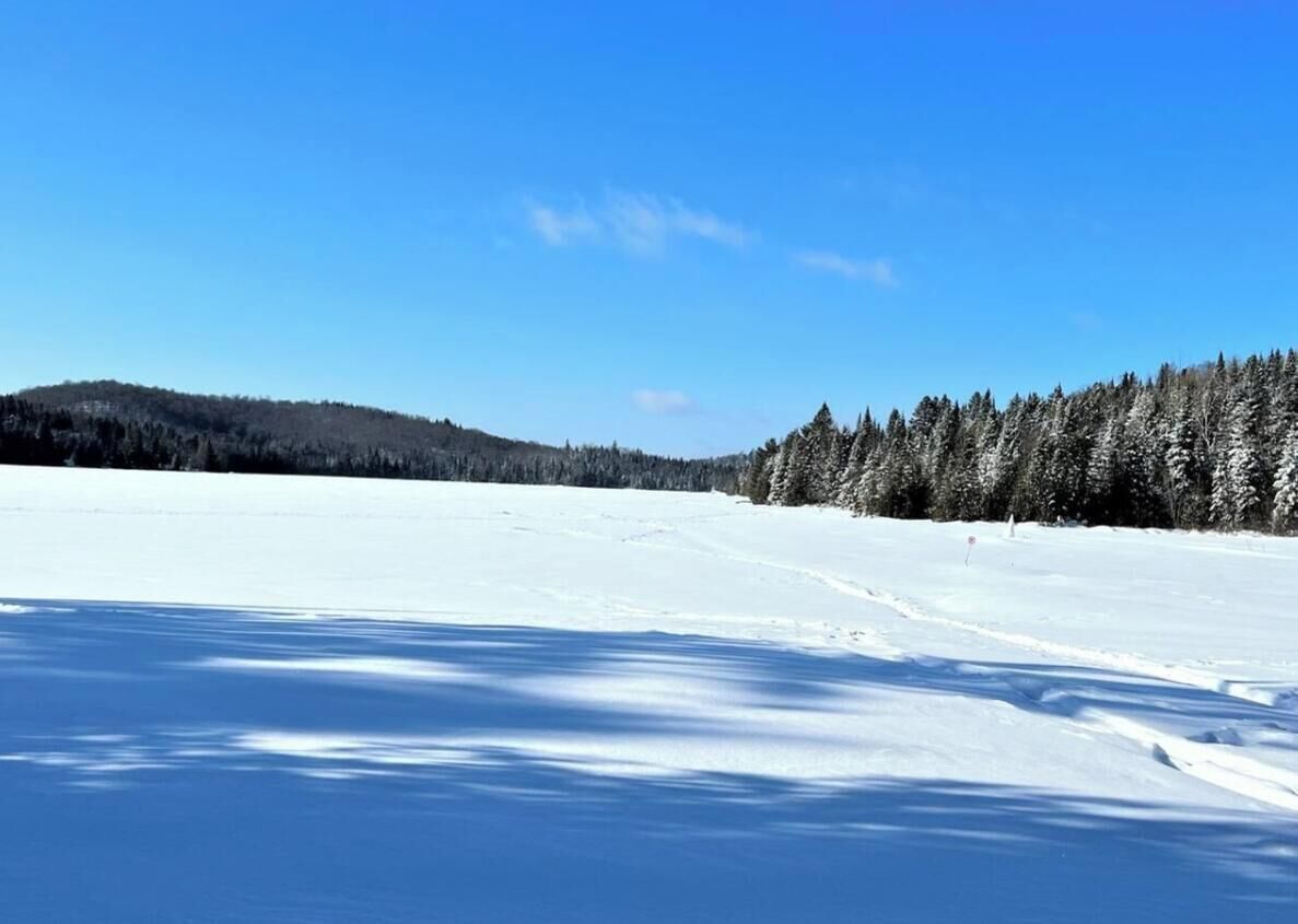 Paesaggio innevato con cielo sereno, una collina boscosa e terreno pianeggiante coperto di neve.