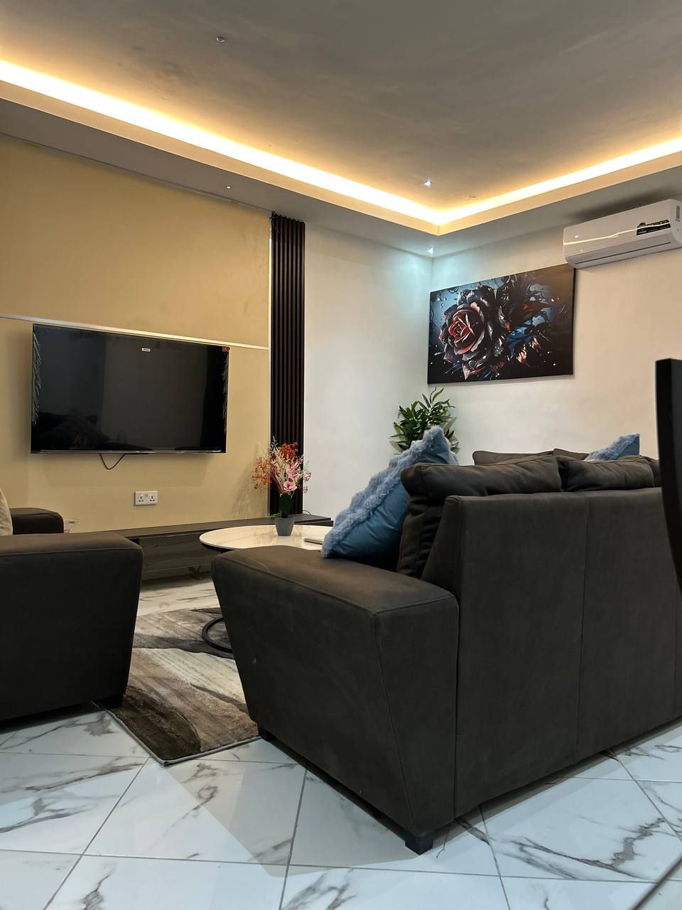 Un salon moderne avec un téléviseur à écran plat, un canapé, une table basse et une plante décorative.