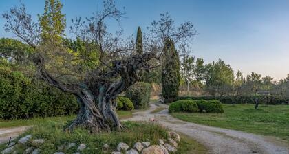 UN Paradis EN Provence ... MAS Aigo Claro ... 16 Personnes