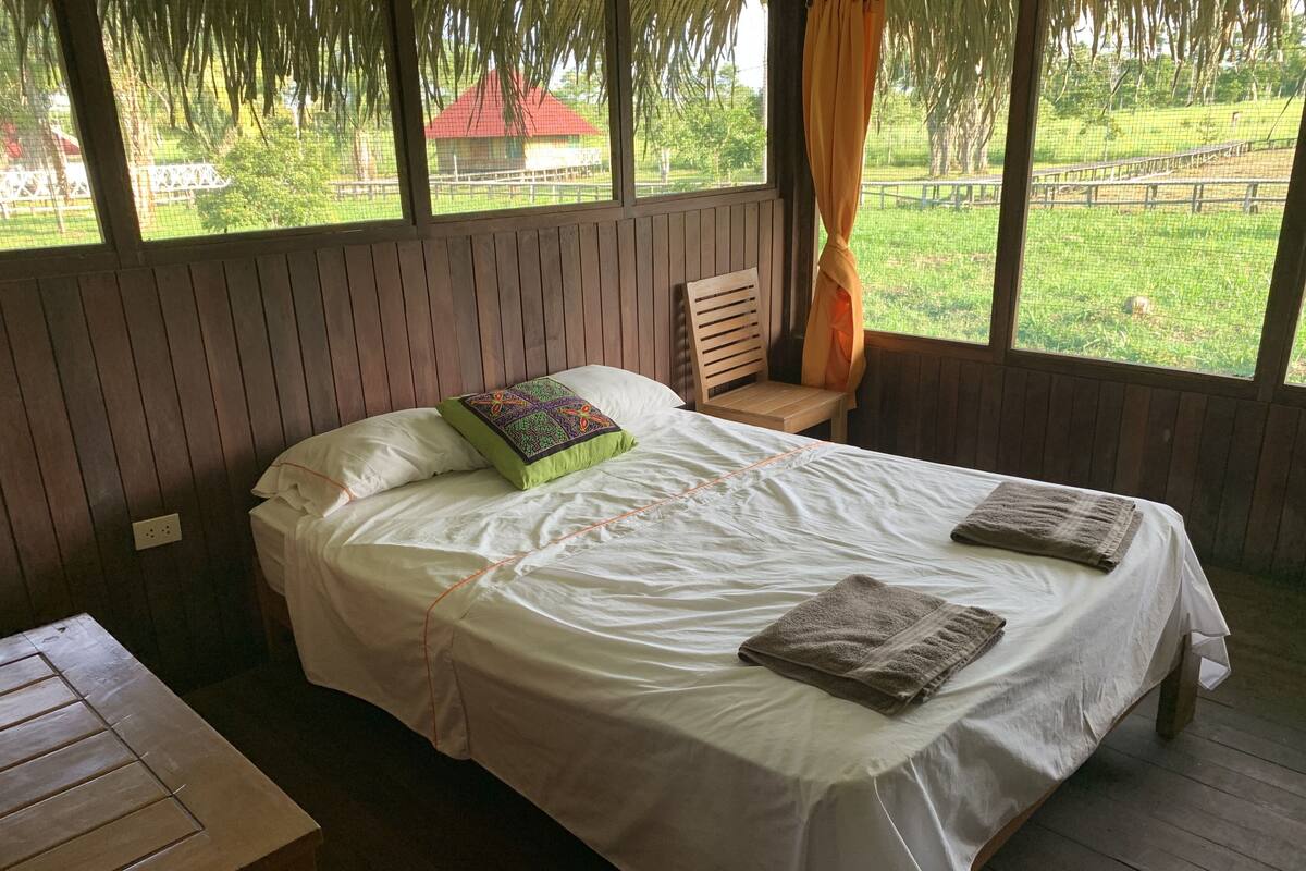 A single bed with white linens, a green pillow, and two folded towels. A wooden chair is positioned at the foot of the bed. The room has wooden paneling and a window with a view of a fenced area and a red-roofed building.