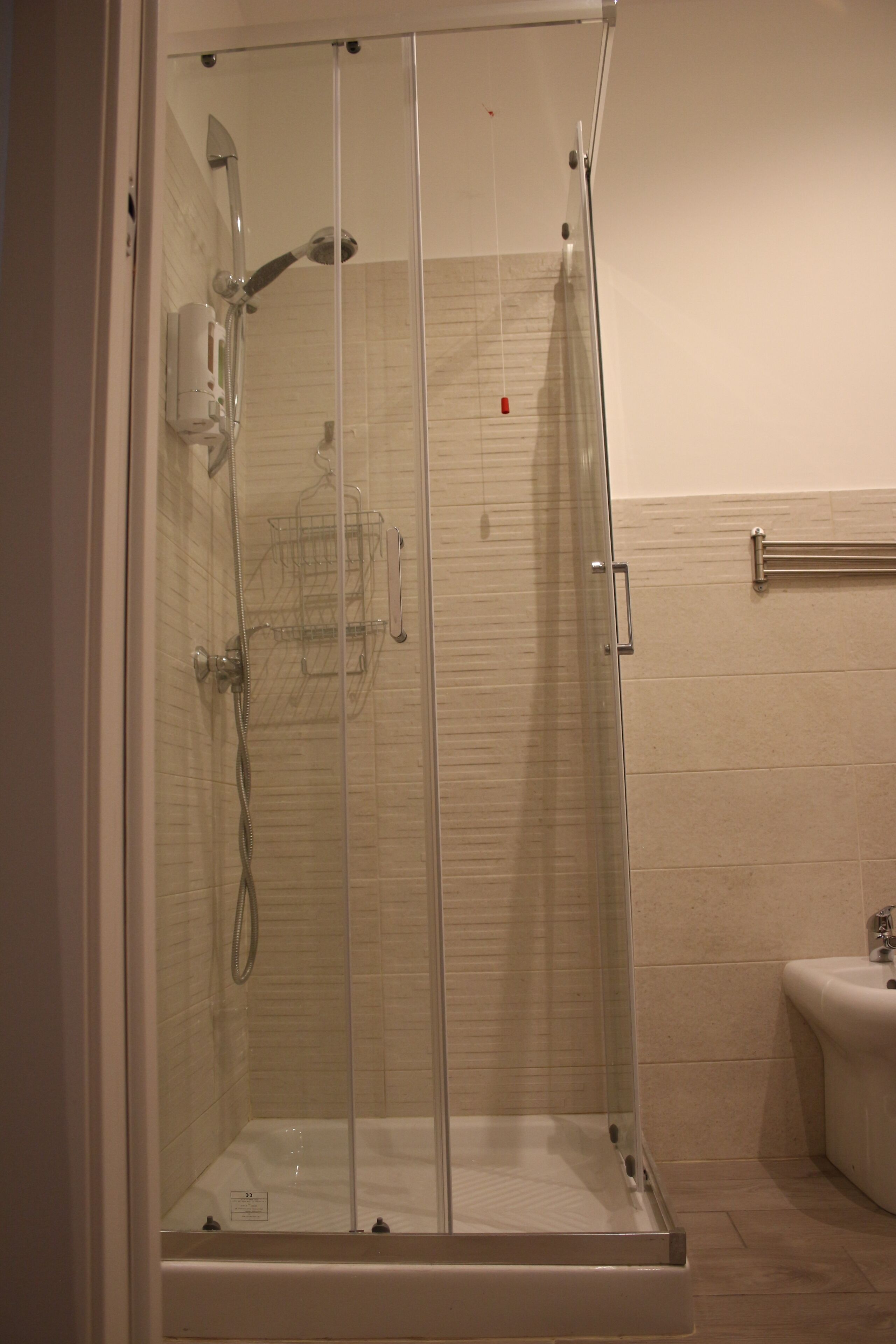 Dusche, Regendusche, Haartrockner, Bidet