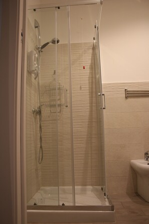 Ducha, cabezal de ducha tipo lluvia, secador de pelo, bidet