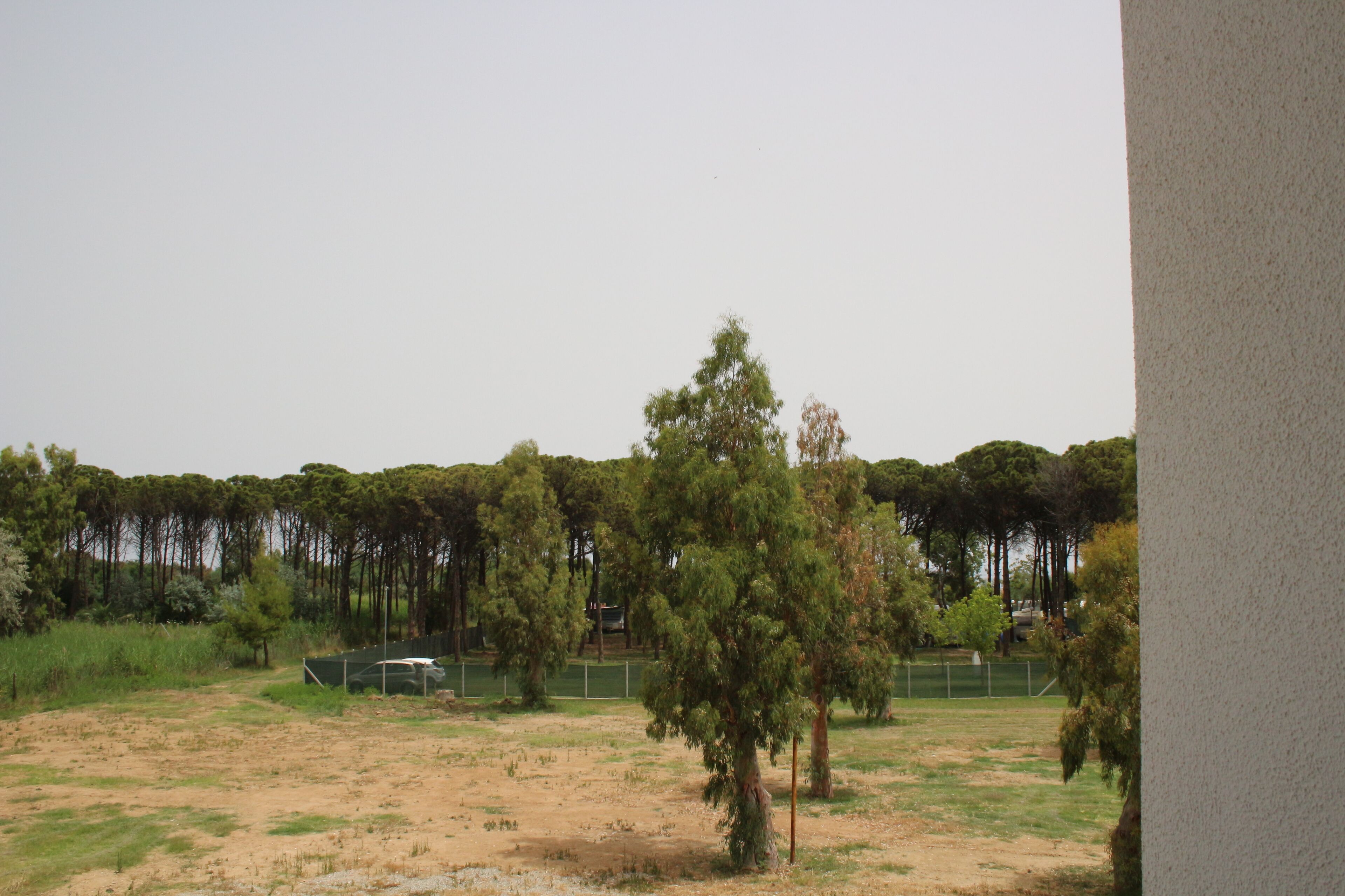 A fenced outdoor area with trees and a dirt path.