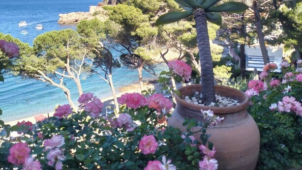 Une vue sur la côte, avec un grand pot en terre cuite orné de fleurs roses, un arbre et un ciel bleu clair.