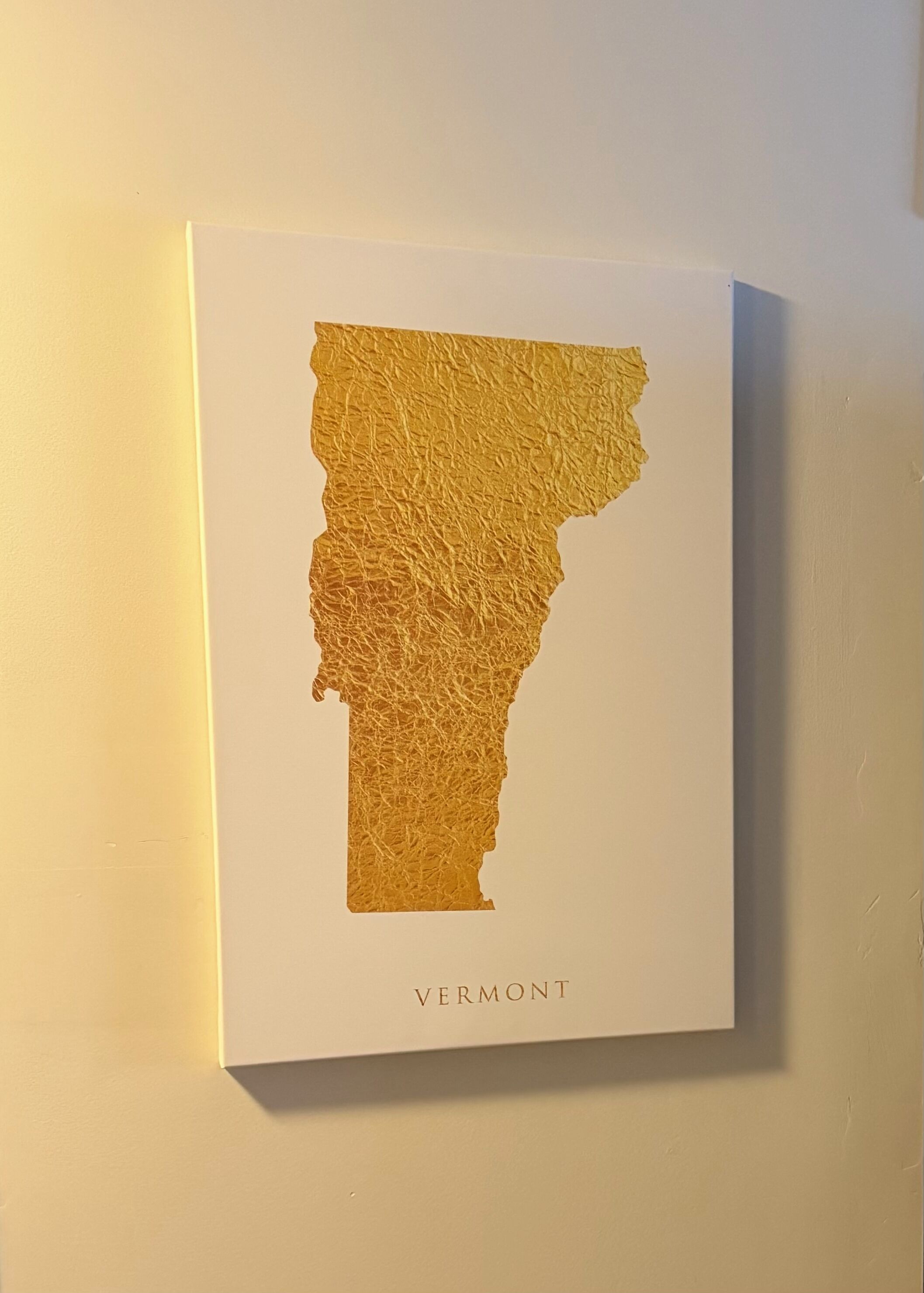 Kirja, jonka kannessa on Vermontin osavaltion kartta.