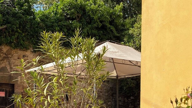 A courtyard with a potted plant, a table with chairs, and a yellow wall. - A stunning property with beautiful views across the valley towards Lucca (Guzzano)