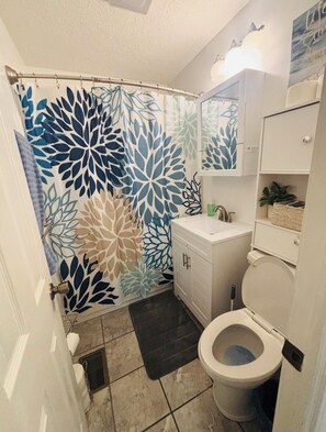 Secador de pelo, toallas, jabón y champú