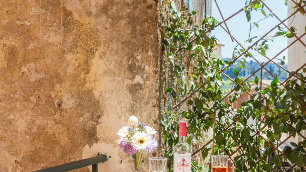 Studio – basic | Terrasse/patio