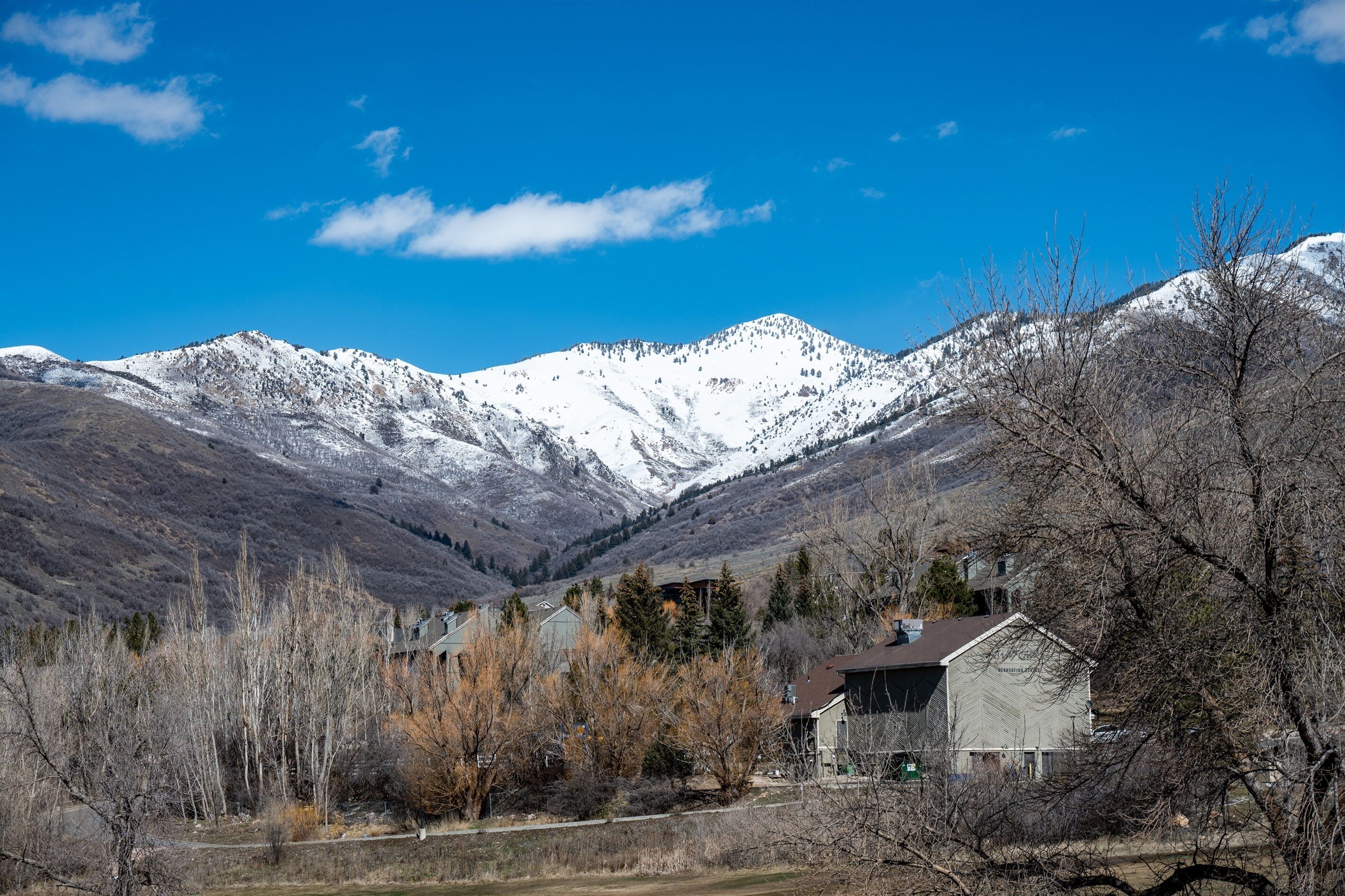 A mountain landscape with snow-capped peaks, a small cluster of houses, and leafless trees in the foreground.