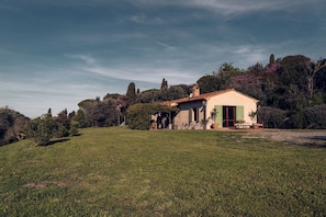 Exterior - Bolgheri Countryhouse (Bolgheri)