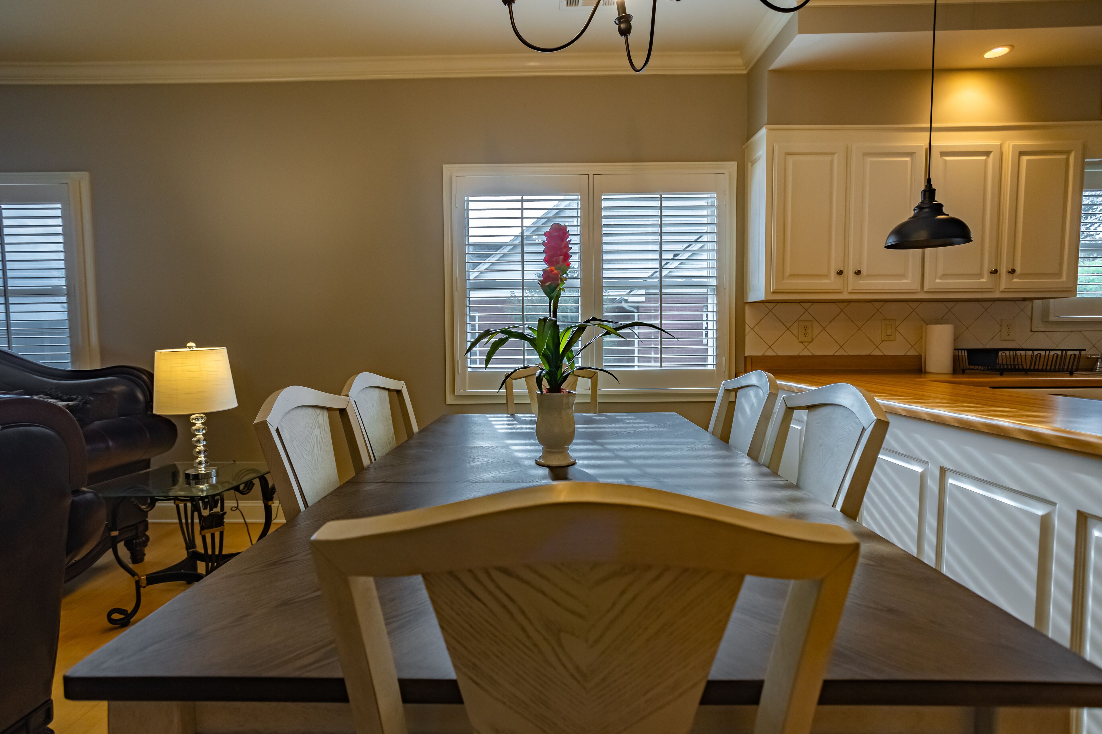 A dining area with a long wooden table, white chairs, a potted plant, and a lamp.