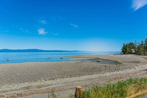 海灘