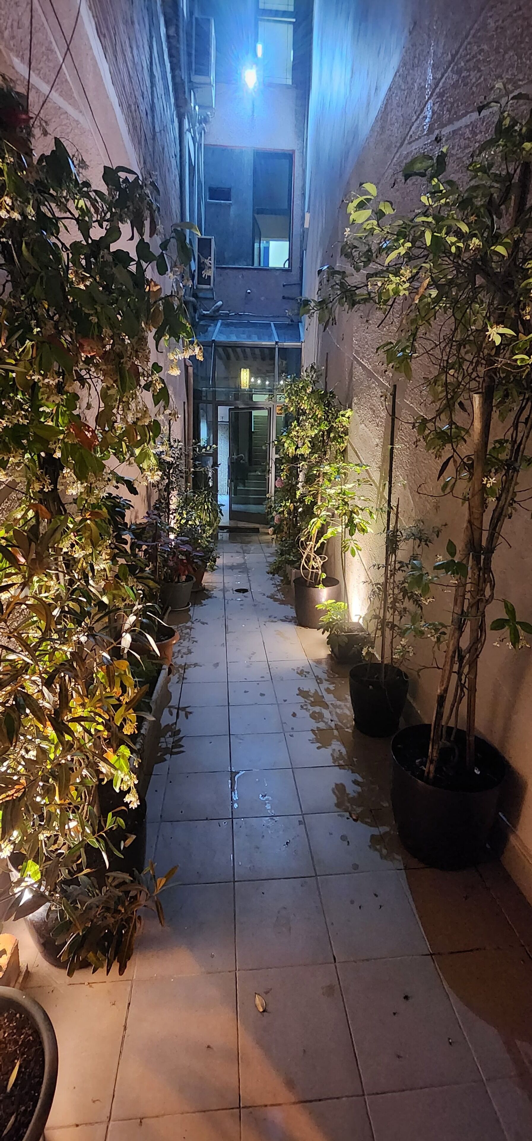 Foto - Hotel La Villa