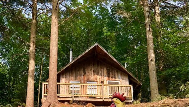 Une cabane en bois dotée d’un balcon, entourée d’arbres et agrémentée d’une grande statue de coq.