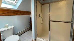 Une salle de bain avec une douche à parois de verre, des toilettes et une lucarne.