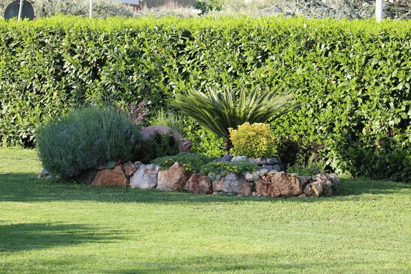 Overnattingsstedets uteområder