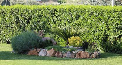 Family-friendly holiday House in Anguillara Sabazia with Parking and a Garden